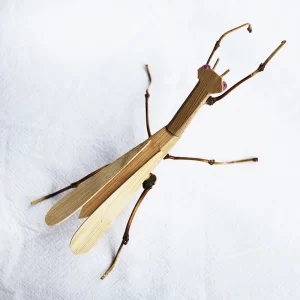 Handmade-Bamboo-Insect-Mantis-Beetle-Retro-Crafts-Decoration-Small-Animal-Desktop-Ornaments-2